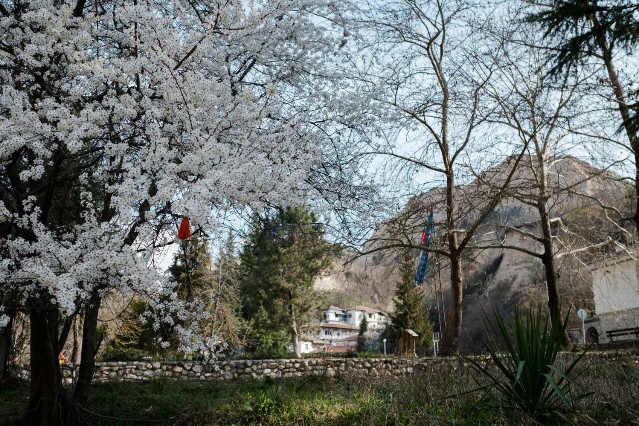 Комплекс Стария Чинар メルニック エクステリア 写真